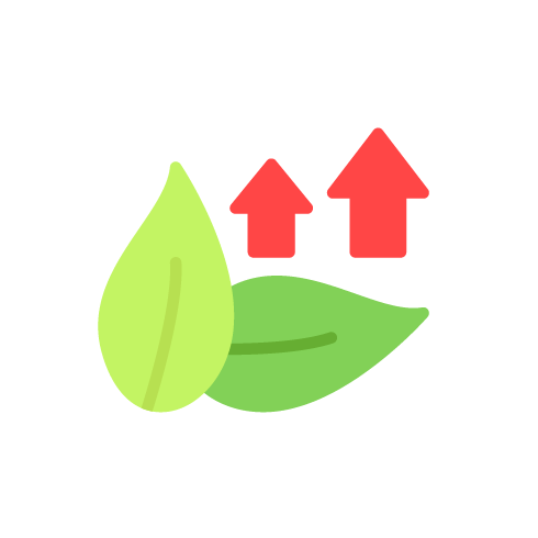 Future Proof Your Home